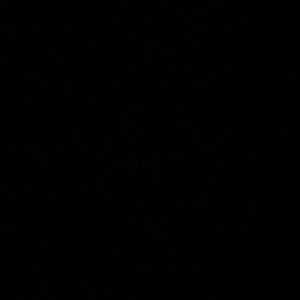 Meet your Posher, Savanah